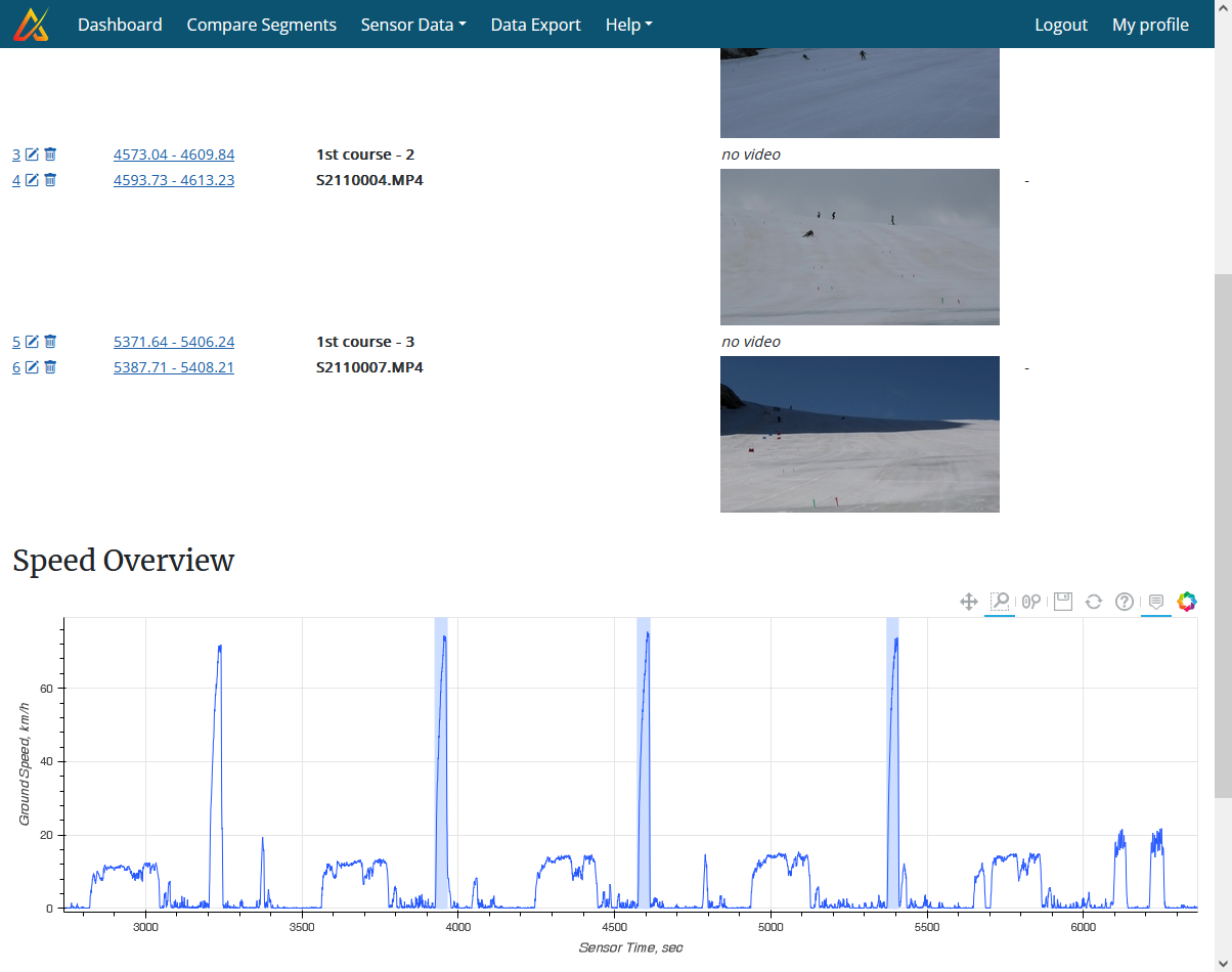 Screenshot of one alpine skiing measurement
